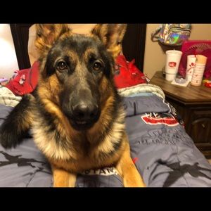 Meet your Posher, Natalie